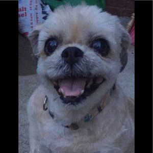 Meet your Posher, Nadi